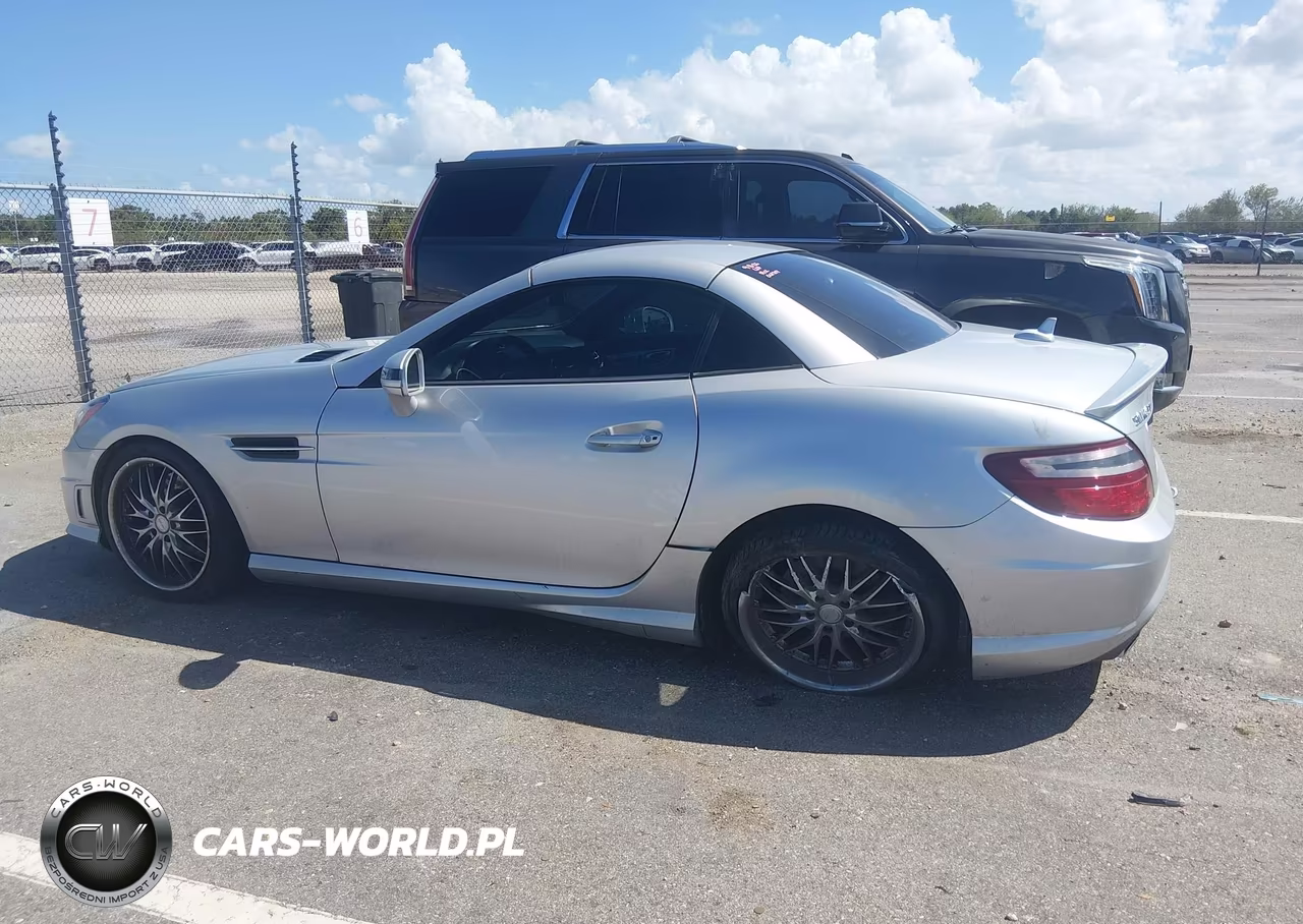 2013 Mercedes-Benz Slk 250 VIN:WDDPK4HA7DF061707 - 14