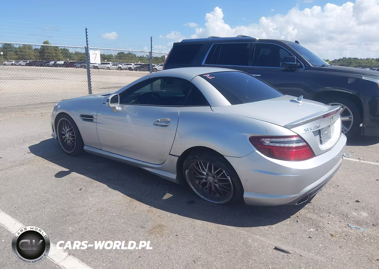 2013 Mercedes-Benz Slk 250 VIN:WDDPK4HA7DF061707 - 3