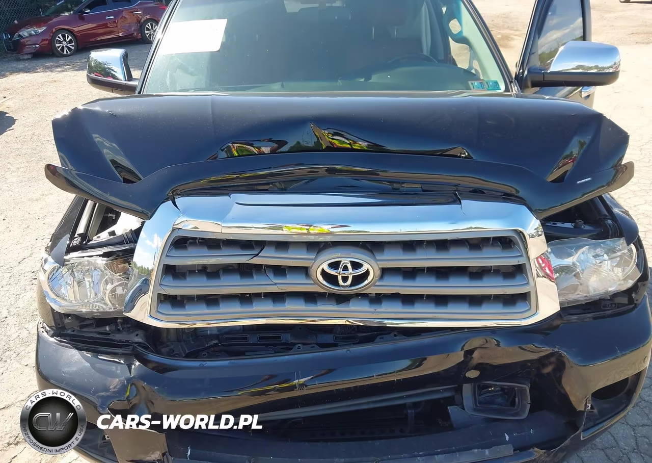 2016 Toyota Sequoia Platinum 5.7L V8 VIN:5TDDY5G15GS136007 - 10