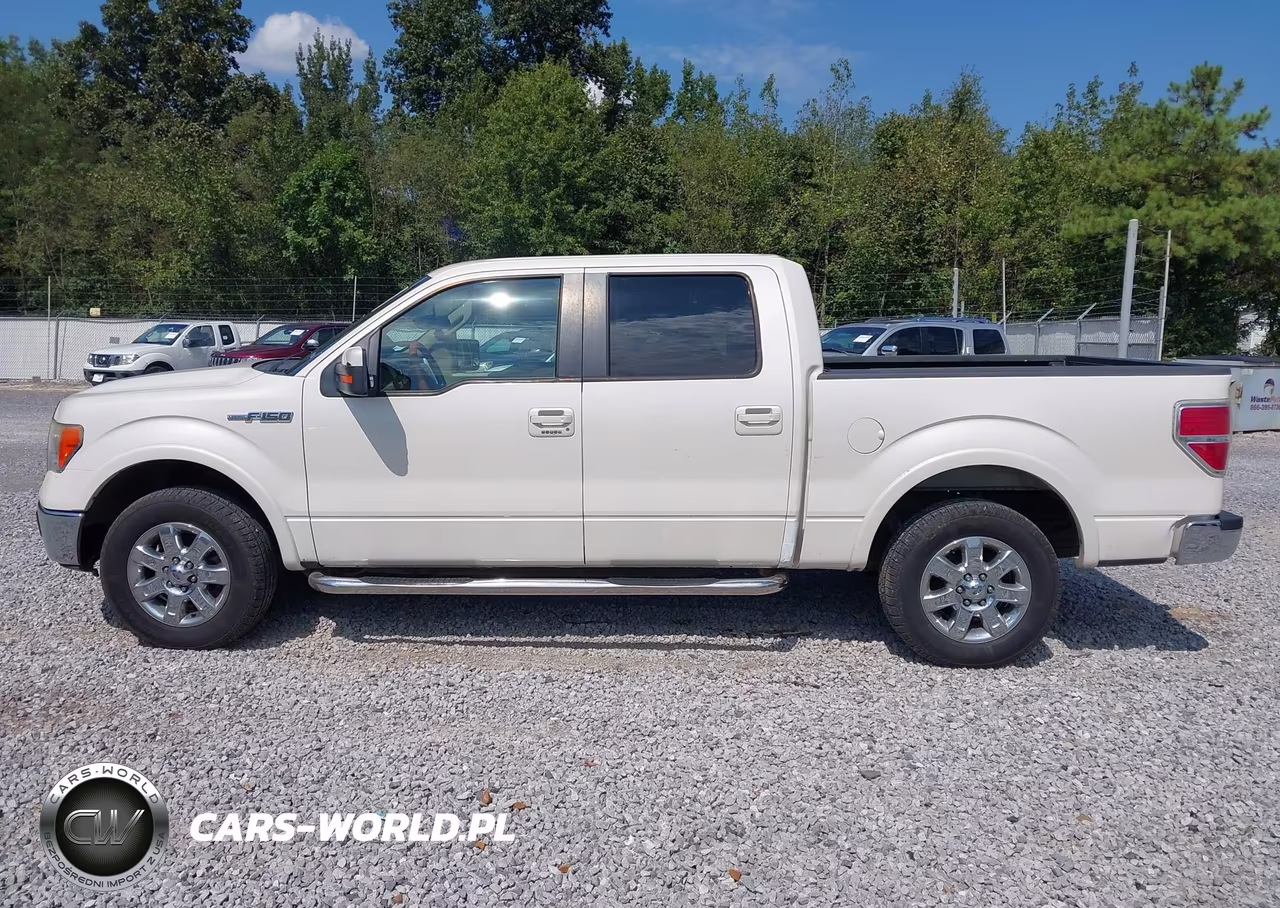 2009 Ford F-150 King Ranch-Lariat-Platinum-Xl-Xlt VIN:1FTPW12V09FA63850 - 14