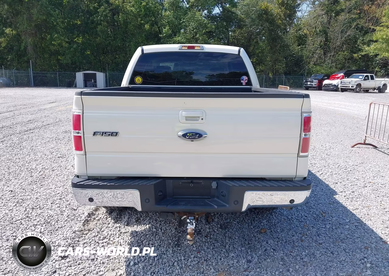2009 Ford F-150 King Ranch-Lariat-Platinum-Xl-Xlt VIN:1FTPW12V09FA63850 - 16
