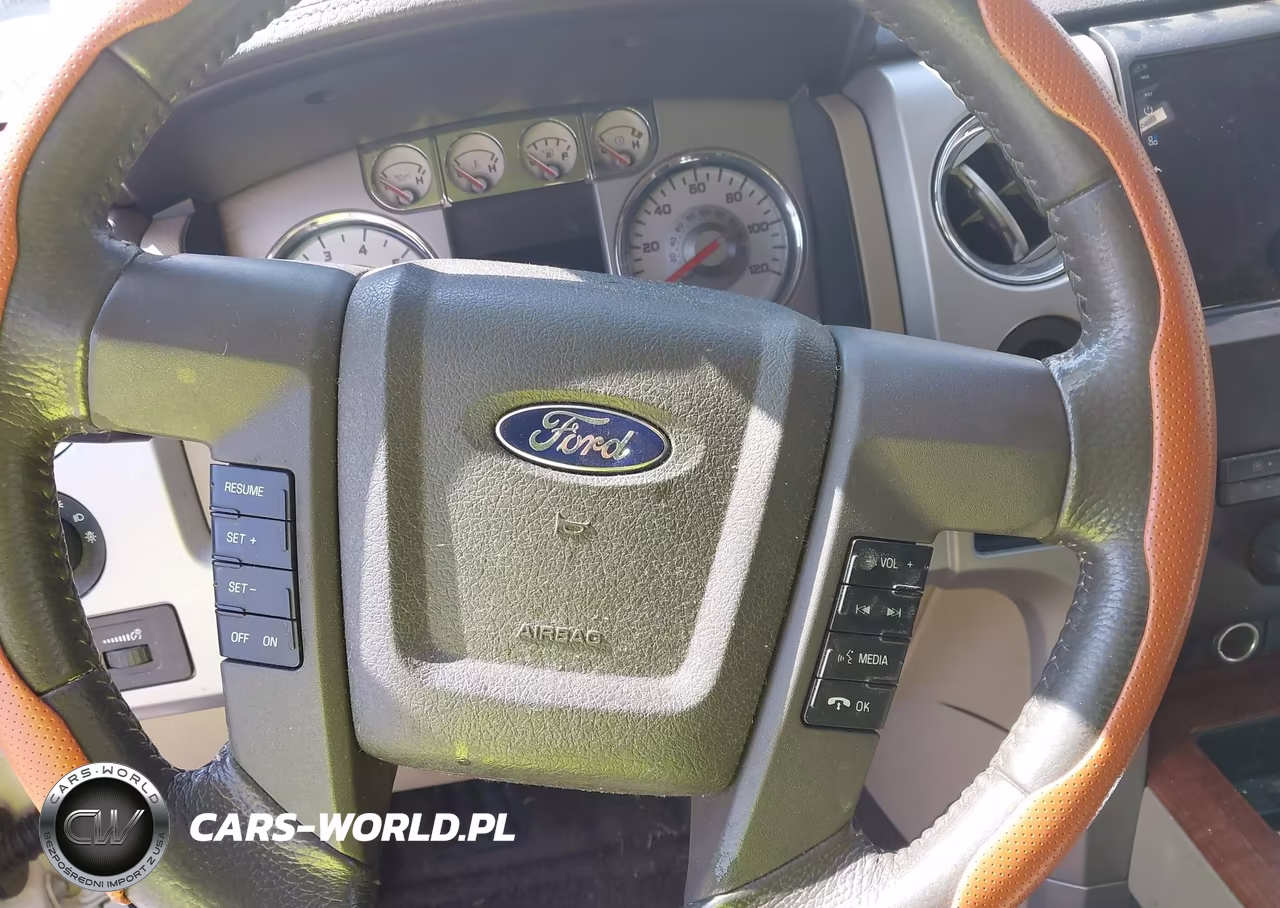 2009 Ford F-150 King Ranch-Lariat-Platinum-Xl-Xlt VIN:1FTPW12V09FA63850 - 17