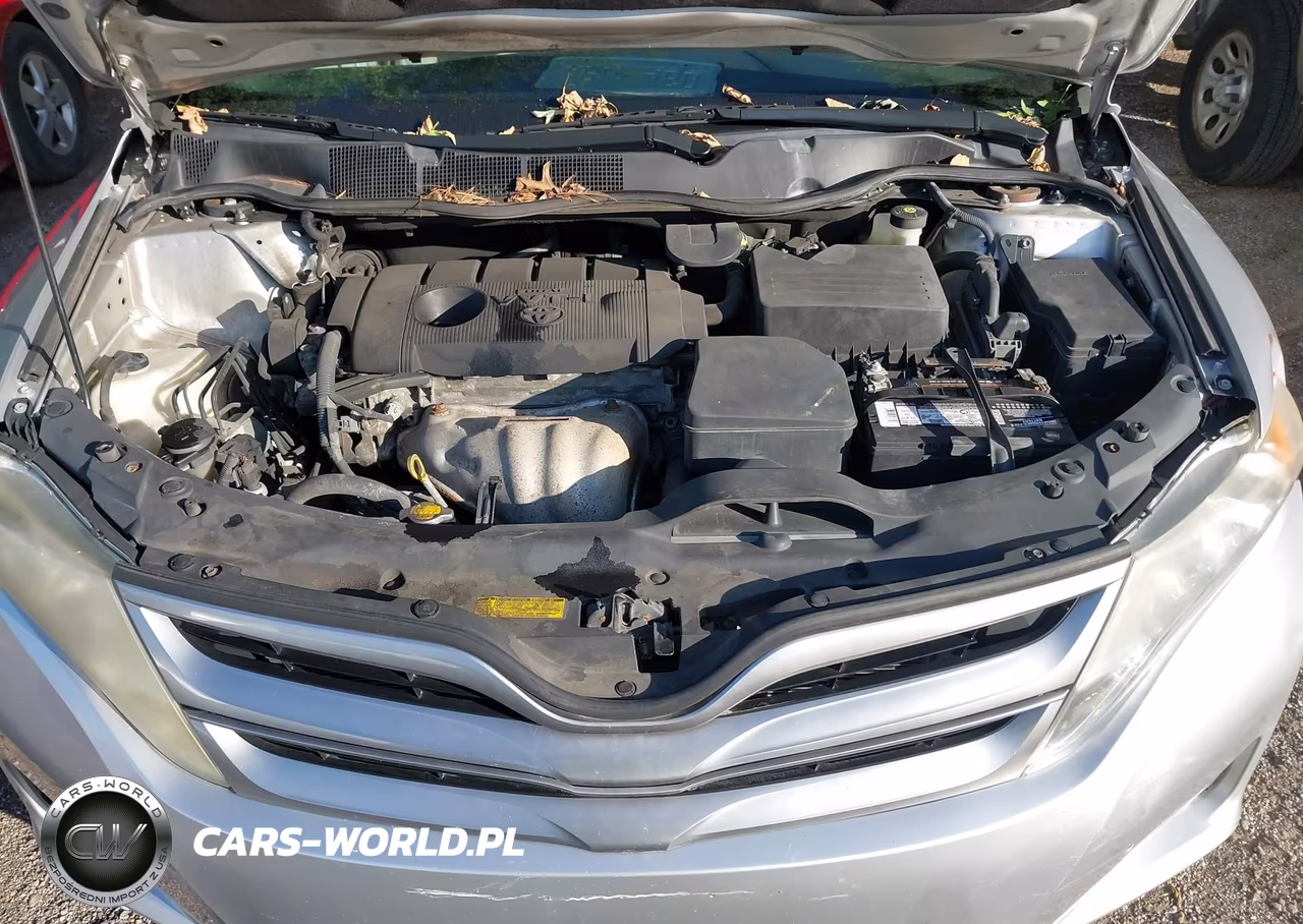 2014 Toyota Venza Le VIN:4T3ZA3BB7EU089069 - 10