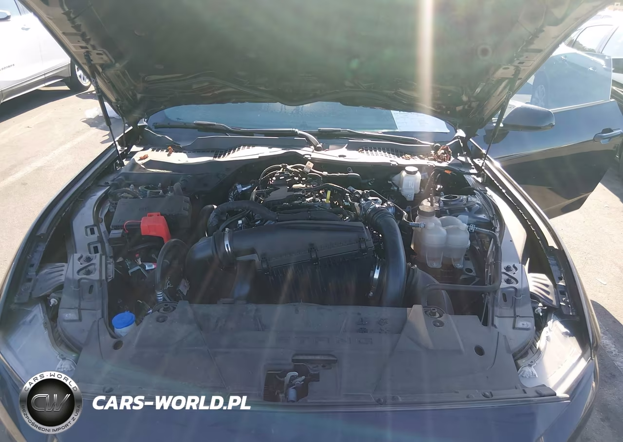 2024 Ford Mustang Ecoboost Fastback VIN:1FA6P8TH7R5118123 - 10