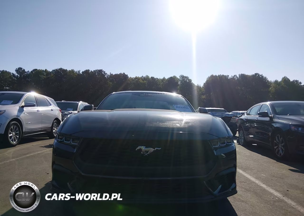 2024 Ford Mustang Ecoboost Fastback VIN:1FA6P8TH7R5118123 - 13