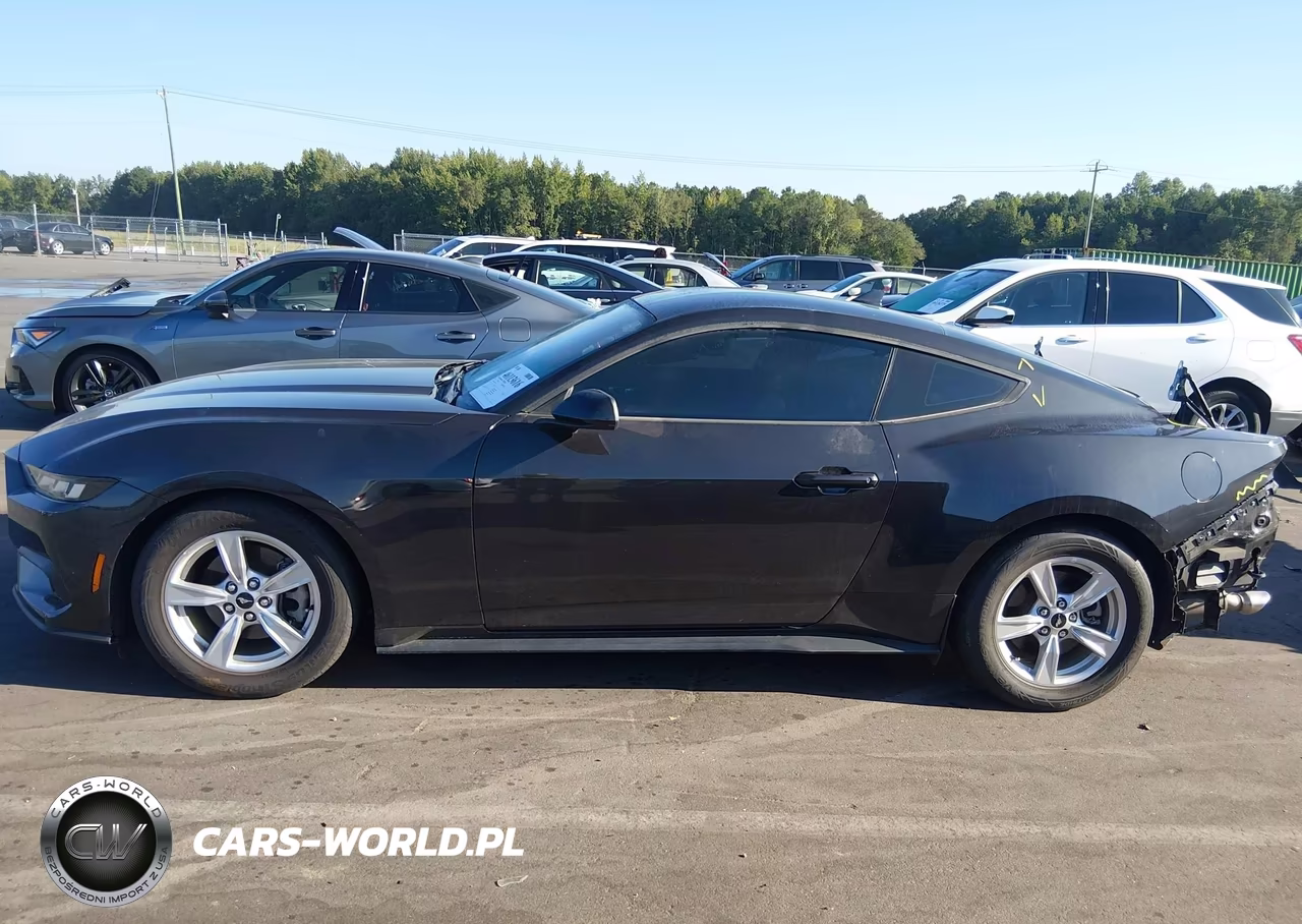 2024 Ford Mustang Ecoboost Fastback VIN:1FA6P8TH7R5118123 - 15