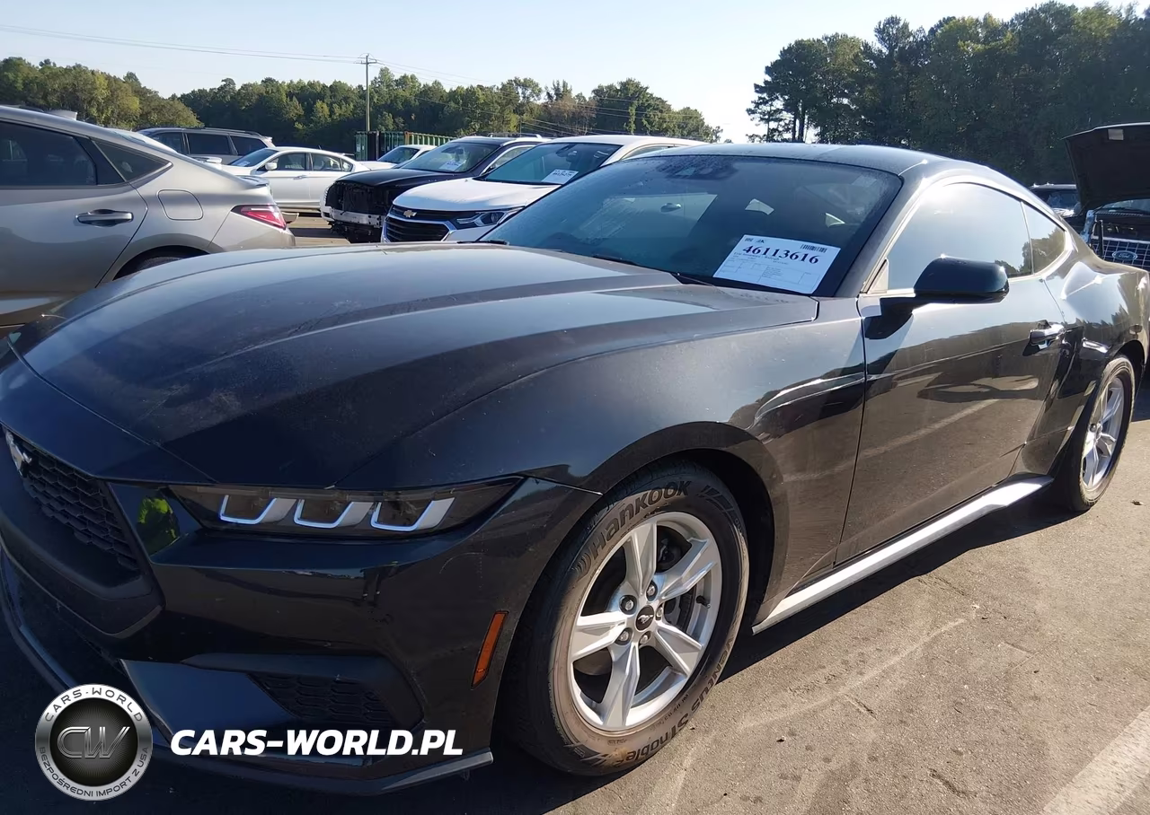 2024 Ford Mustang Ecoboost Fastback VIN:1FA6P8TH7R5118123 - 2