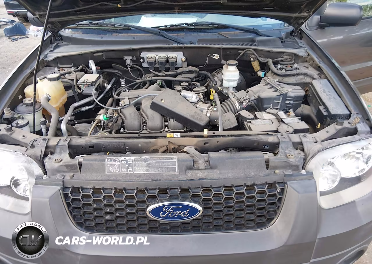 2006 Ford Escape Xlt-Xlt Sport VIN:1FMCU03196KA68358 - 10