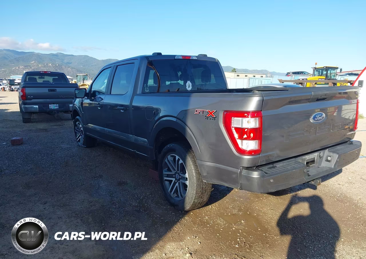 2023 Ford F-150 Xl VIN:1FTFW1E57PKD94694 - 3