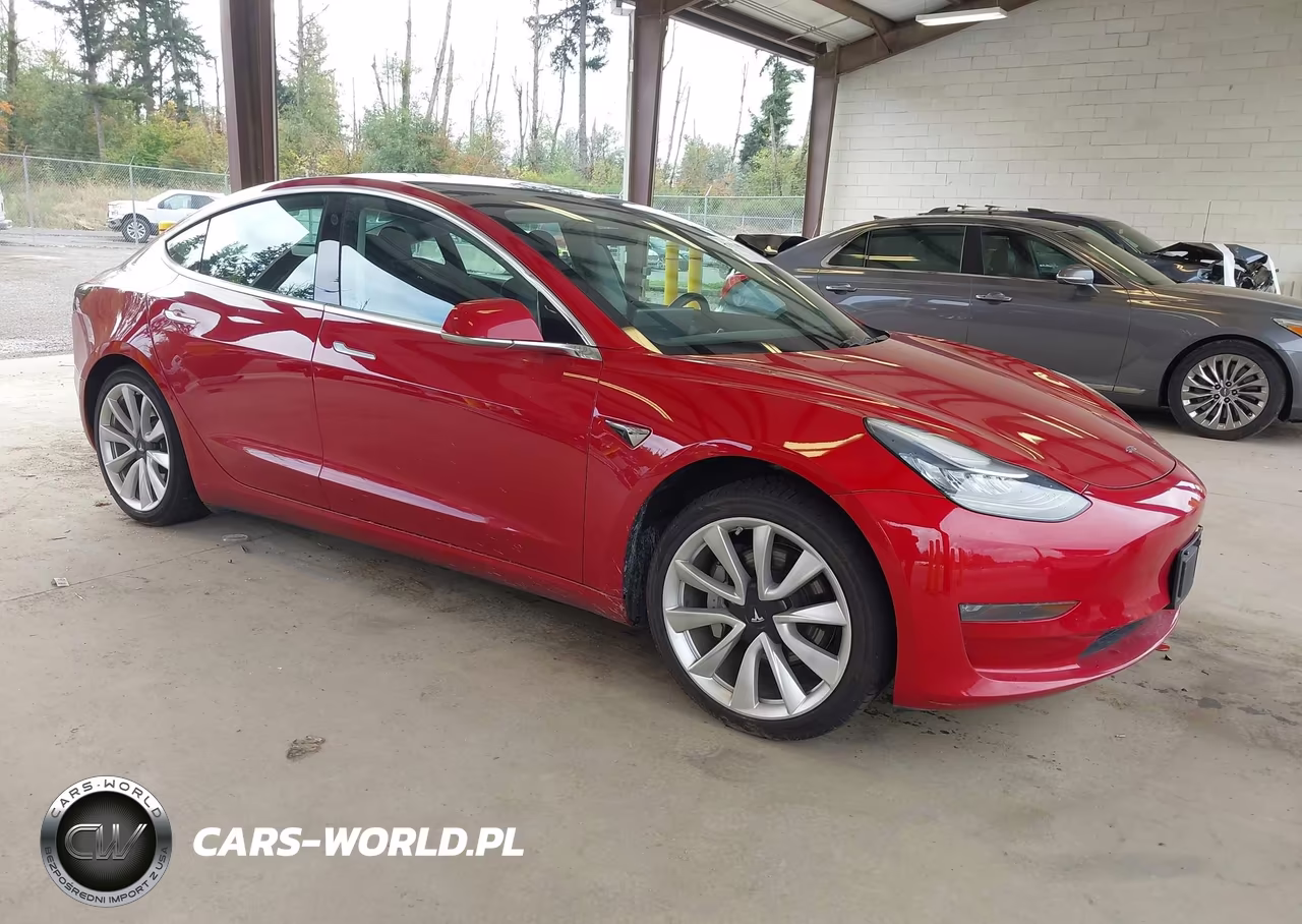 2019 Tesla Model 3 Long Range-Performance VIN:5YJ3E1EB3KF389610 - 1