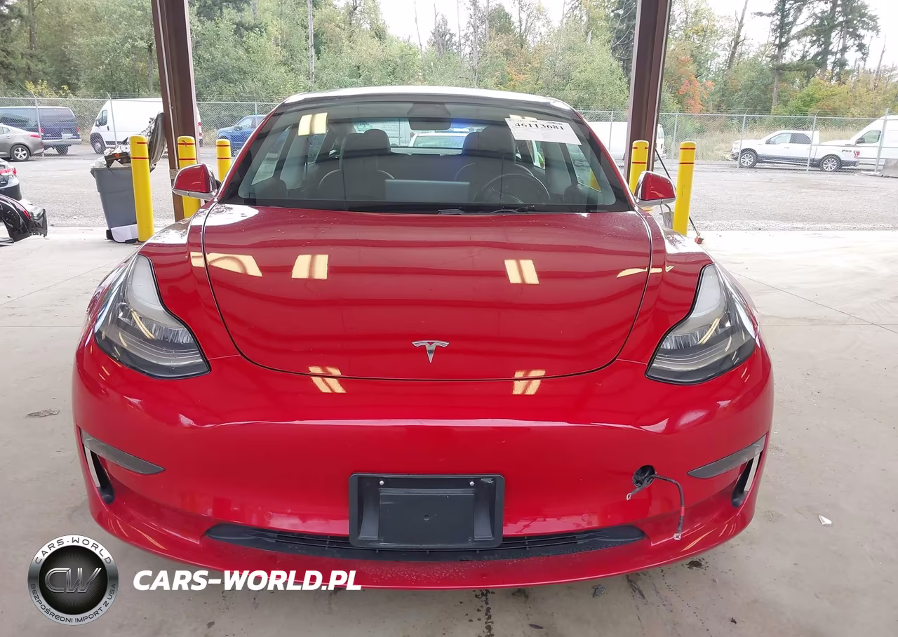 2019 Tesla Model 3 Long Range-Performance VIN:5YJ3E1EB3KF389610 - 11