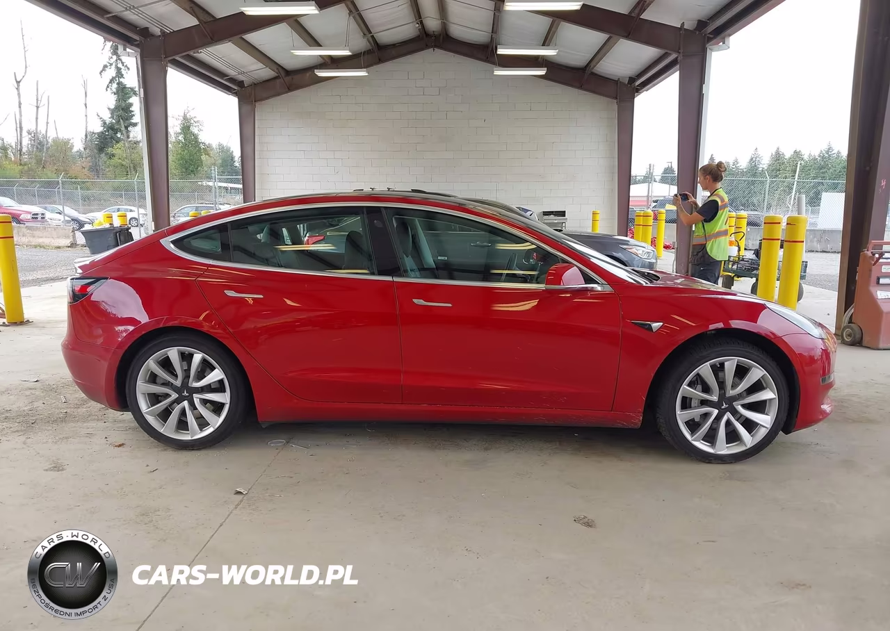2019 Tesla Model 3 Long Range-Performance VIN:5YJ3E1EB3KF389610 - 12