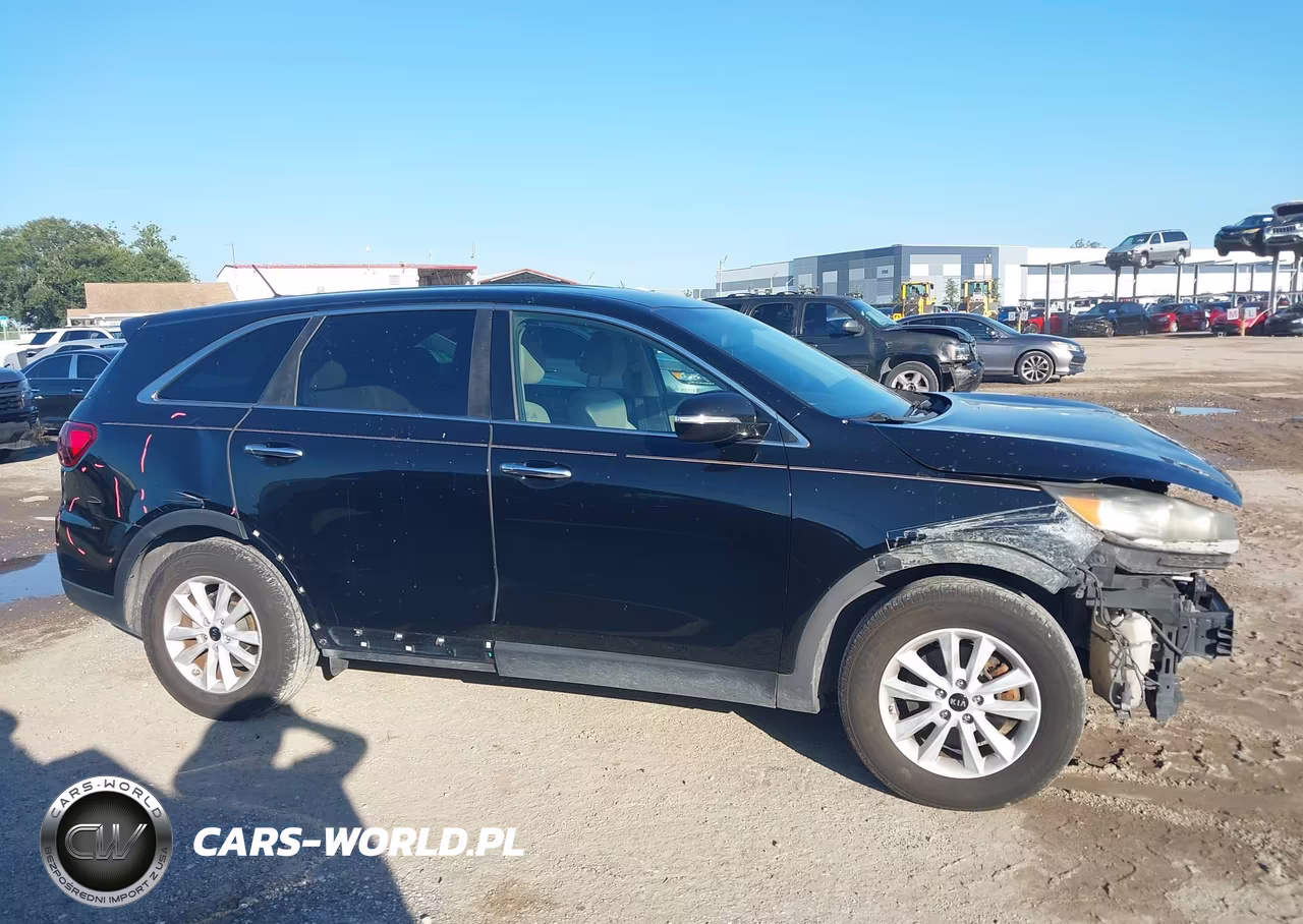 2019 Kia Sorento 2.4L Lx VIN:5XYPG4A35KG552276 - 13