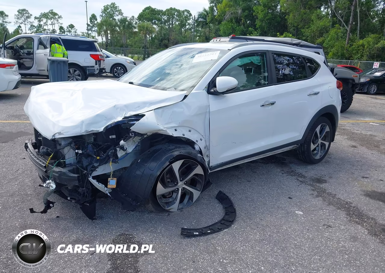 2018 Hyundai Tucson Limited VIN:KM8J33A20JU717632 - 2