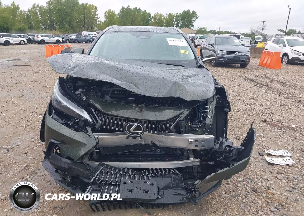 2025 Lexus Nx Nx 350H Premium VIN:2T2GKCEZ9SC040051 - 12