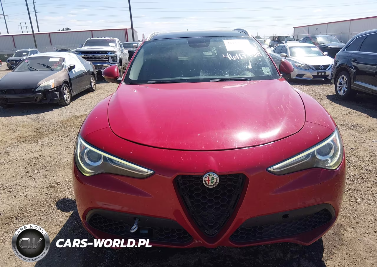 2019 Alfa Romeo Stelvio Awd VIN:ZASPAKAN7K7C58759 - 12