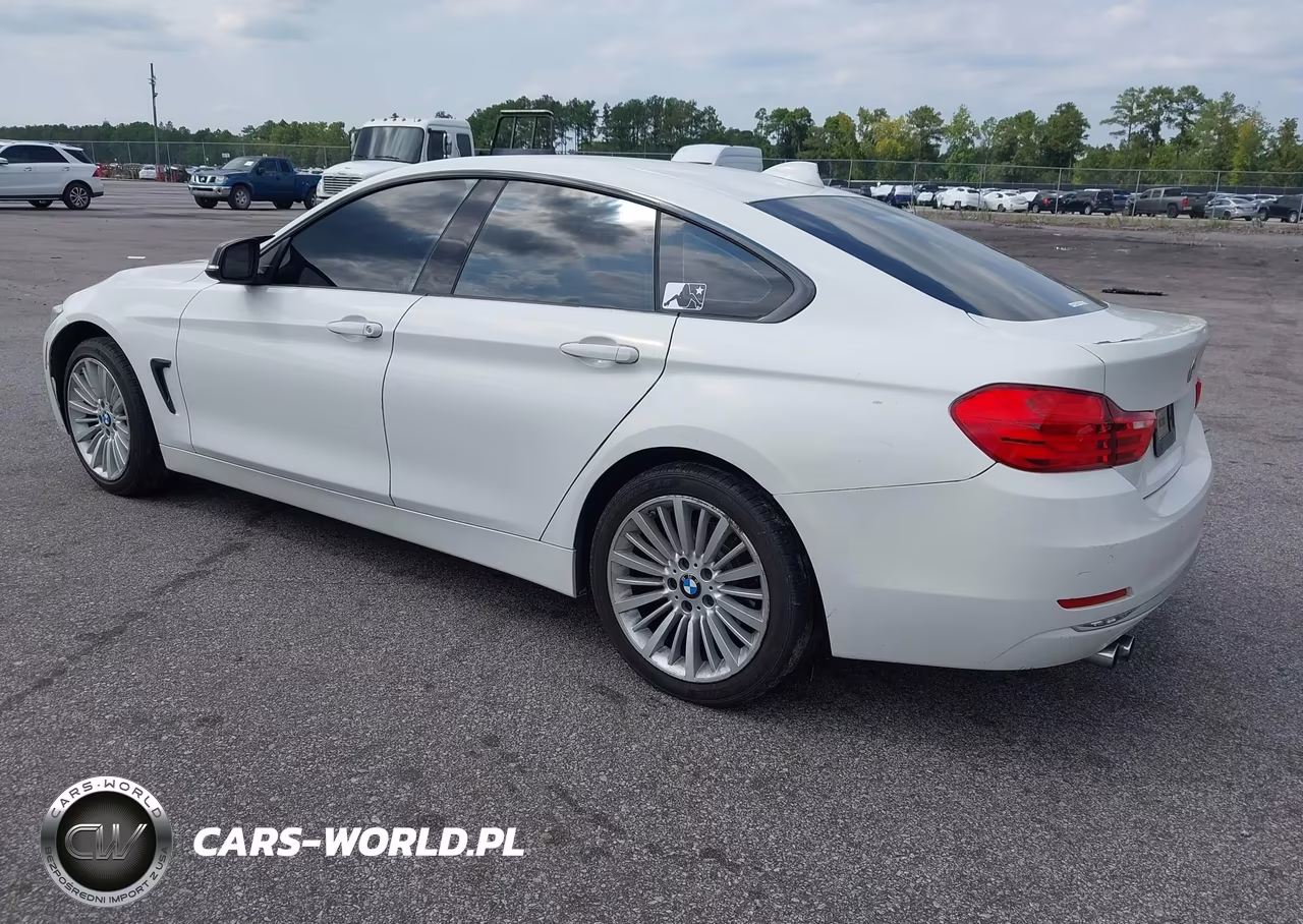 2015 BMW 428 Gran Coupe VIN:WBA4A5C56FD410514 - 3