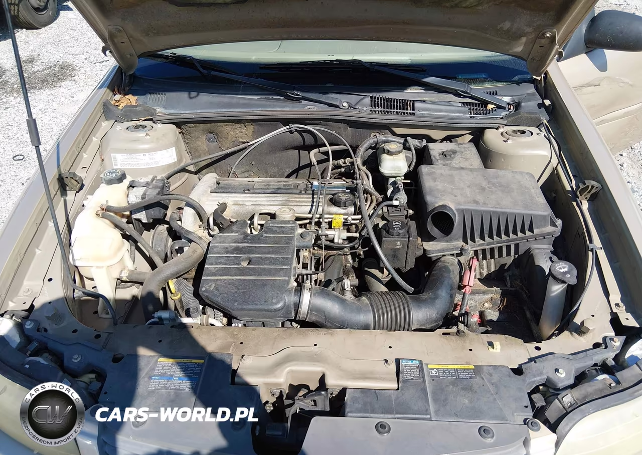 2004 Chevrolet Classic VIN:1G1ND52F24M603094 - 10