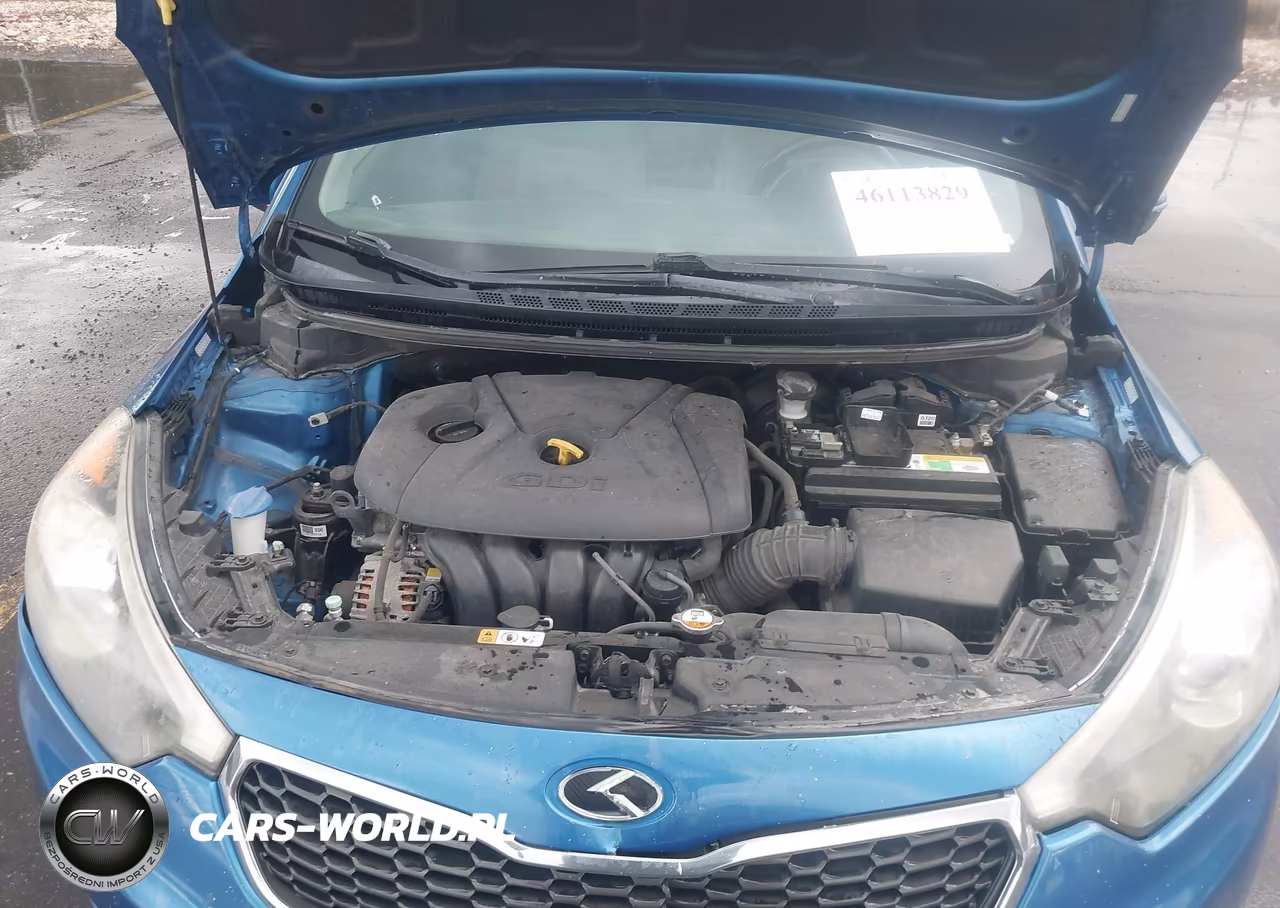 2014 Kia Forte Ex VIN:KNAFX4A82E5088493 - 10