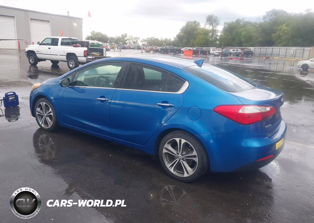 2014 Kia Forte Ex VIN:KNAFX4A82E5088493 - 3