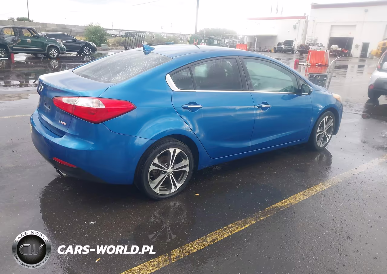 2014 Kia Forte Ex VIN:KNAFX4A82E5088493 - 4