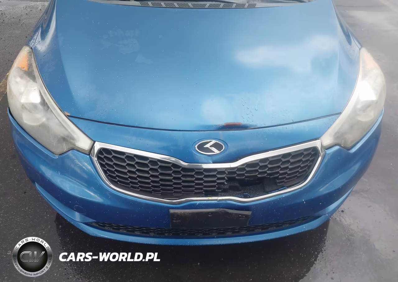 2014 Kia Forte Ex VIN:KNAFX4A82E5088493 - 6