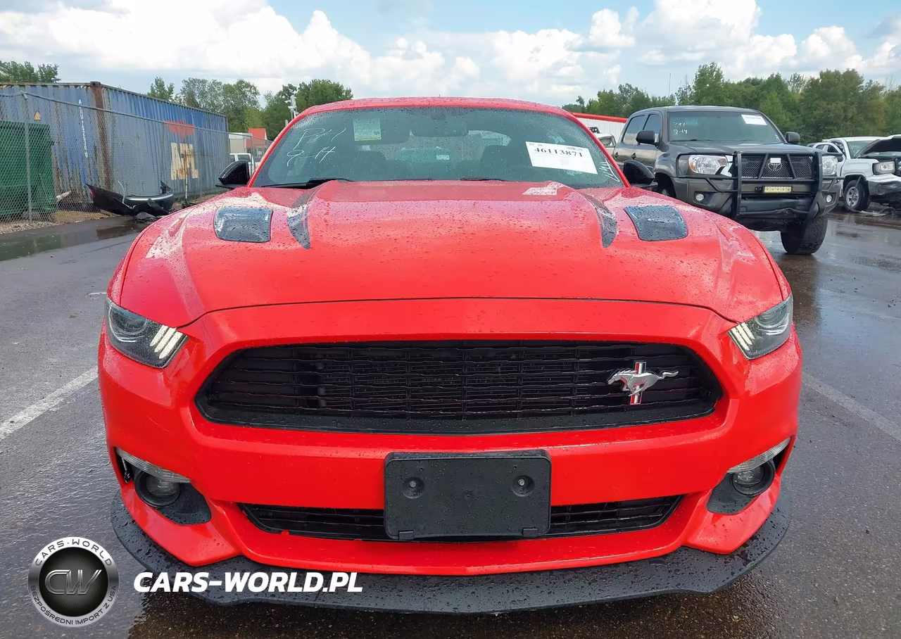2017 Ford Mustang Gt Premium VIN:1FA6P8CFXH5244750 - 12