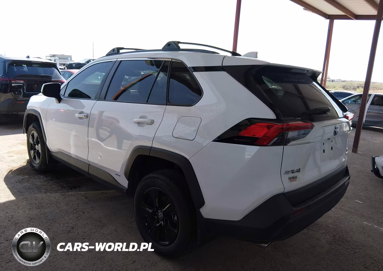 2024 Toyota Rav4 Hybrid Xle VIN:4T3RWRFV6RU115773 - 3