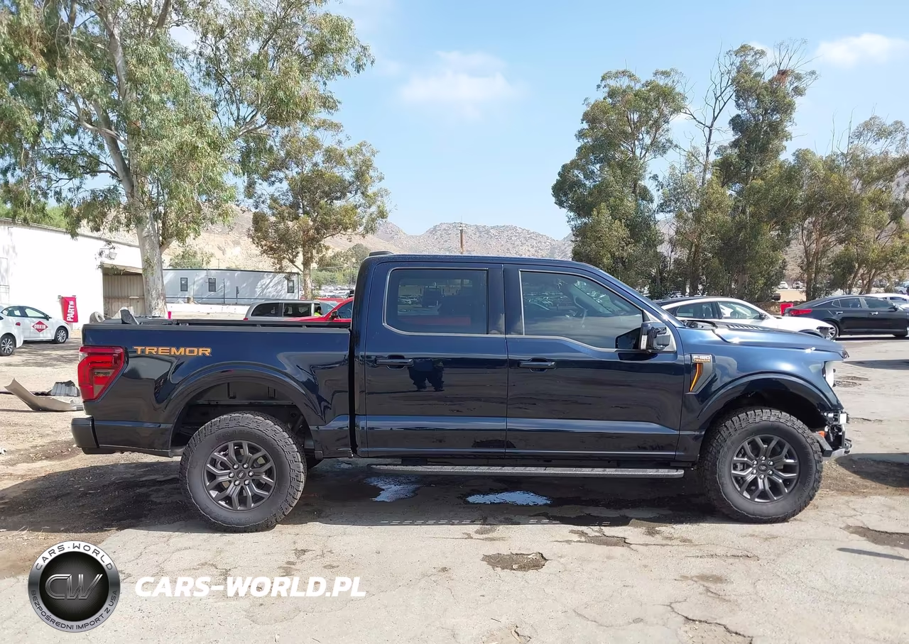 2025 Ford F-150 Tremor VIN:1FTFW4L50SFC47090 - 14