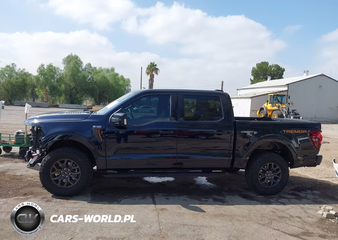 2025 Ford F-150 Tremor VIN:1FTFW4L50SFC47090 - 15