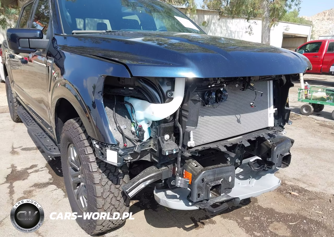 2025 Ford F-150 Tremor VIN:1FTFW4L50SFC47090 - 18