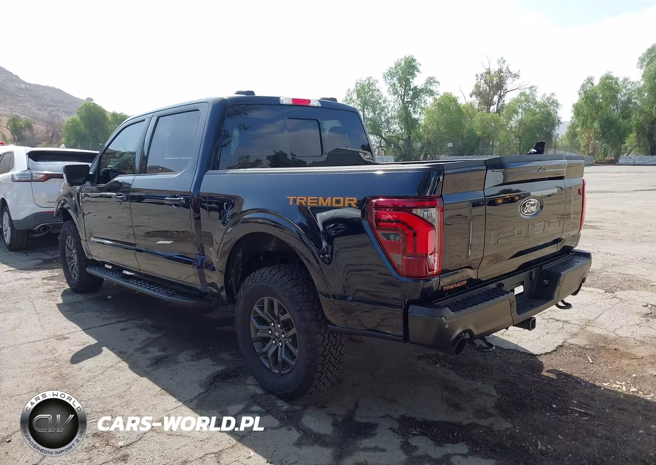 2025 Ford F-150 Tremor VIN:1FTFW4L50SFC47090 - 3