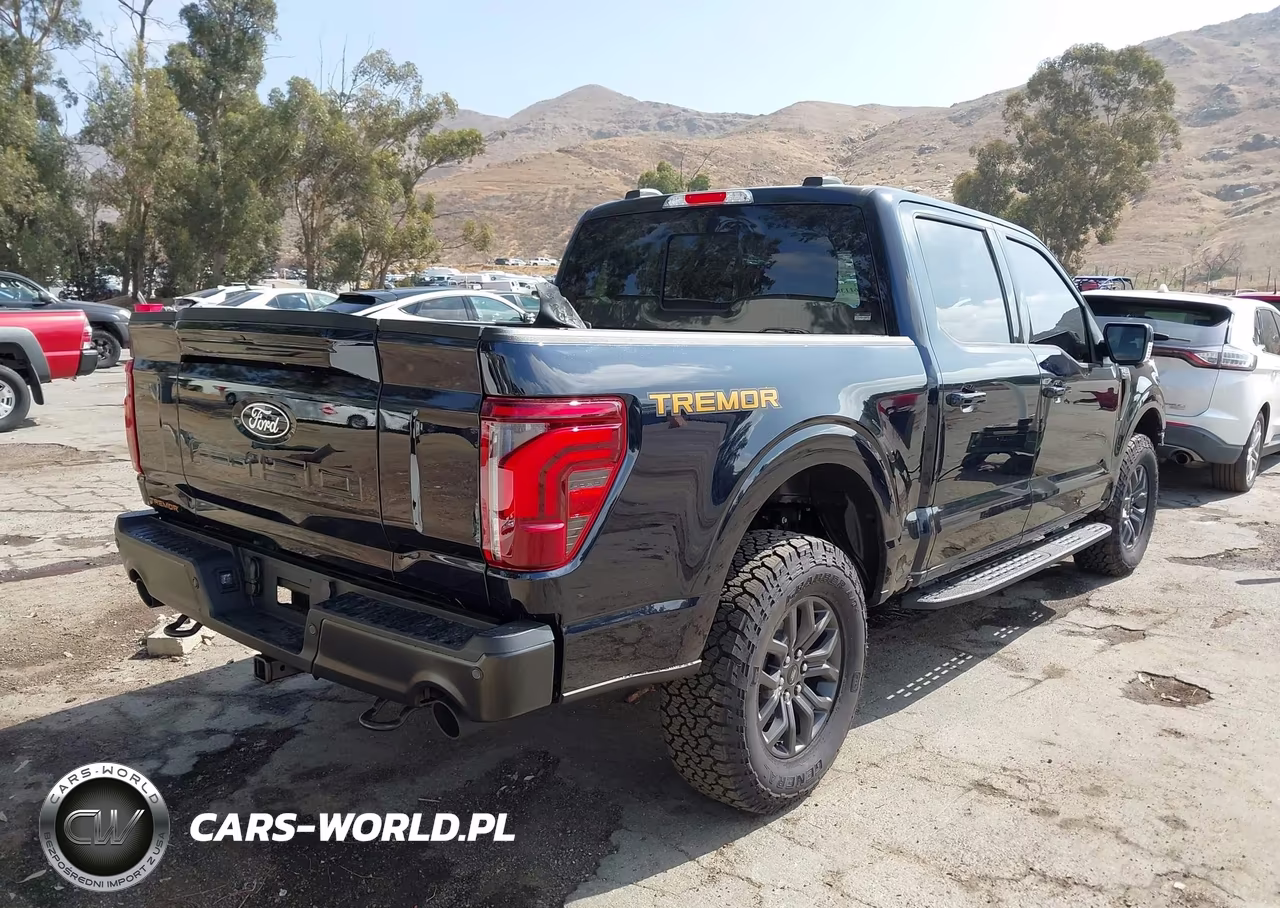 2025 Ford F-150 Tremor VIN:1FTFW4L50SFC47090 - 4