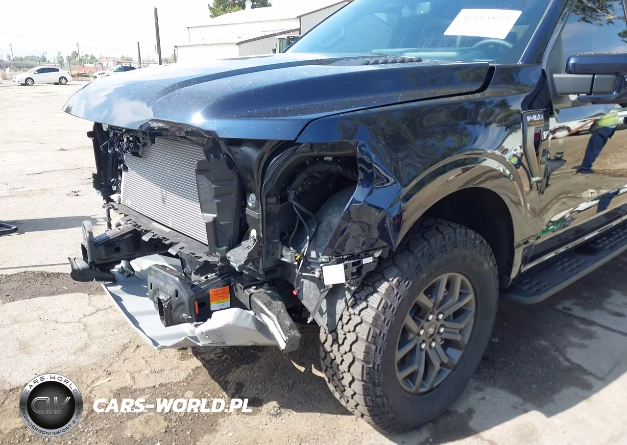 2025 Ford F-150 Tremor VIN:1FTFW4L50SFC47090 - 6