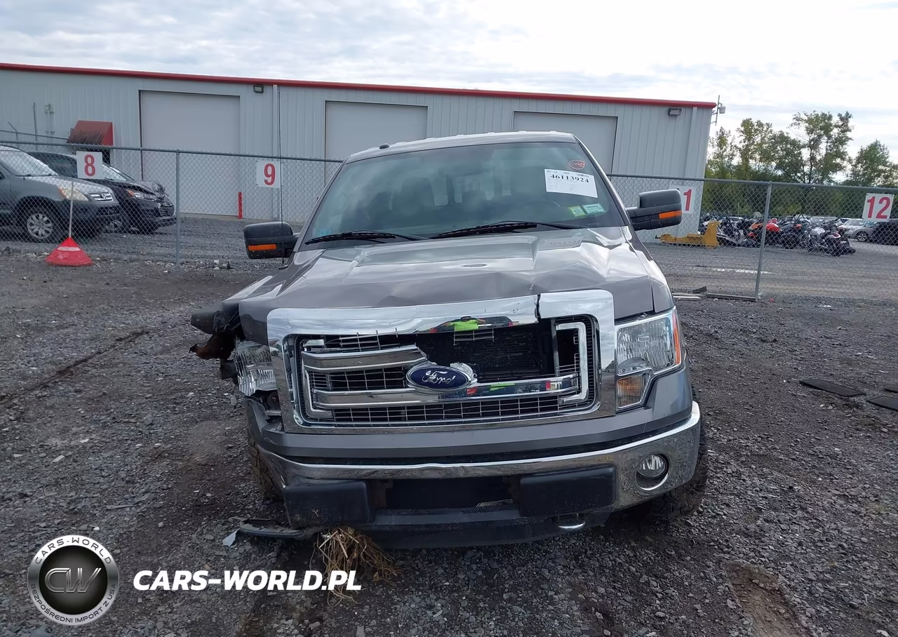 2014 Ford F-150 Xlt VIN:1FTFX1EF6EFA83060 - 11