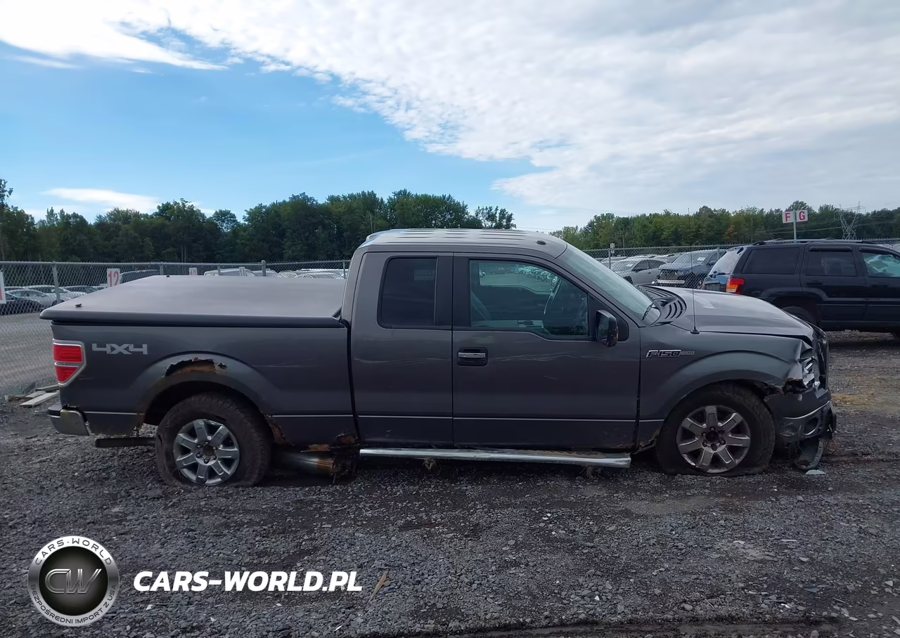 2014 Ford F-150 Xlt VIN:1FTFX1EF6EFA83060 - 12
