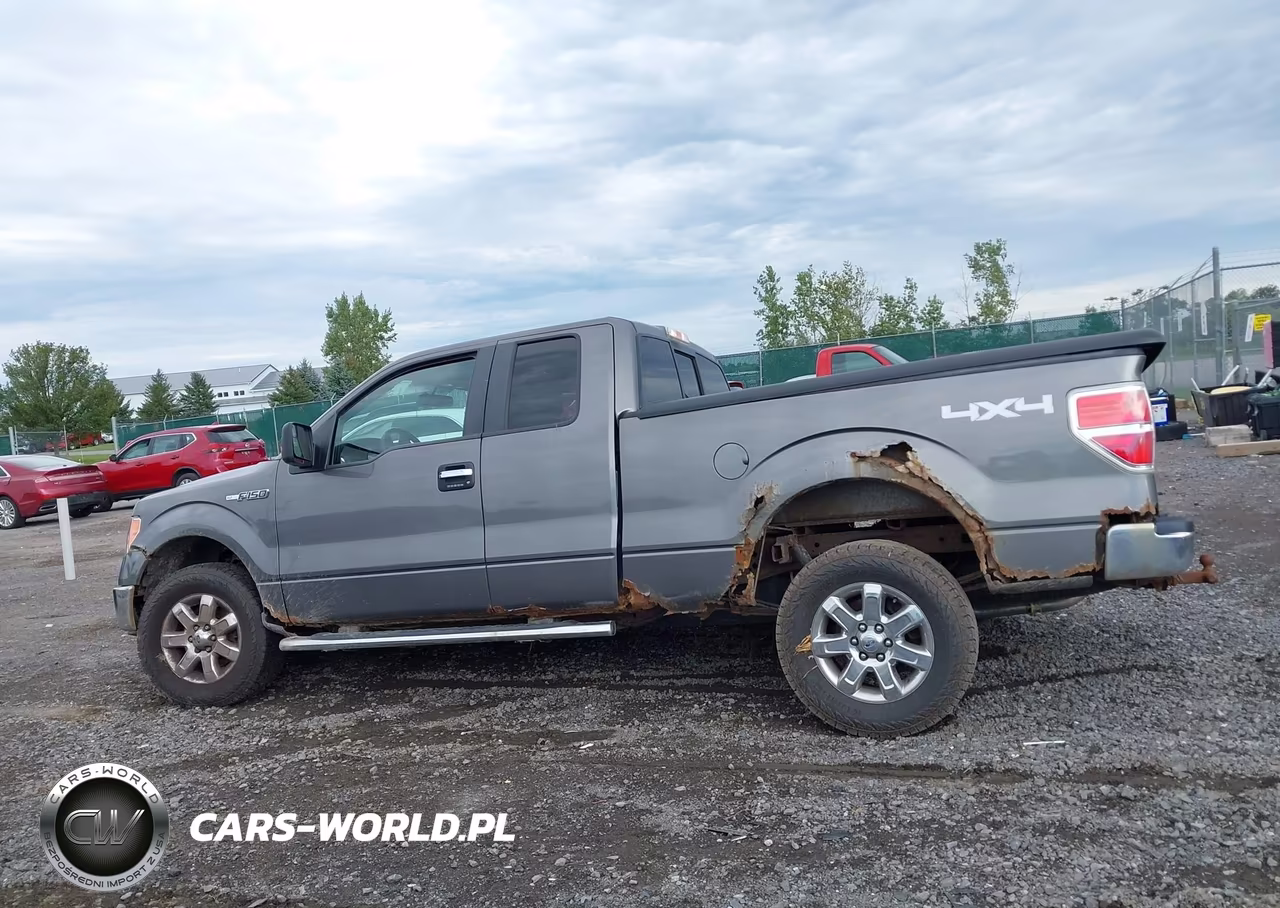 2014 Ford F-150 Xlt VIN:1FTFX1EF6EFA83060 - 13