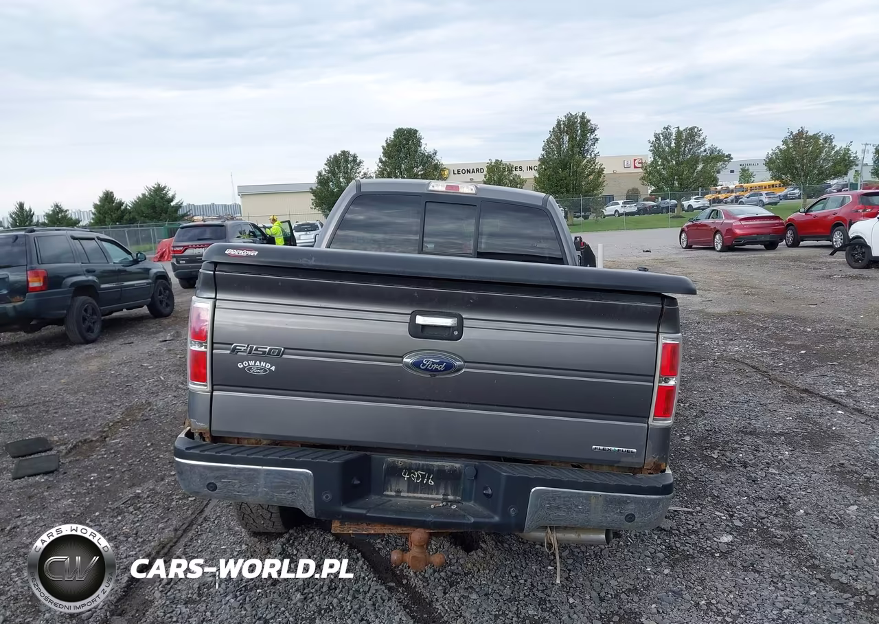 2014 Ford F-150 Xlt VIN:1FTFX1EF6EFA83060 - 15