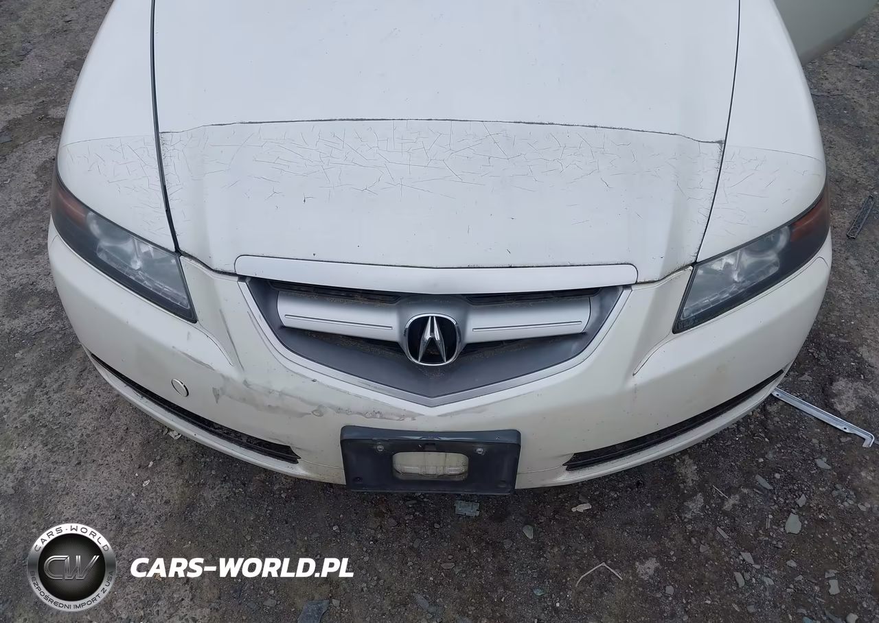 2006 Acura Tl VIN:19UUA66236A051233 - 12