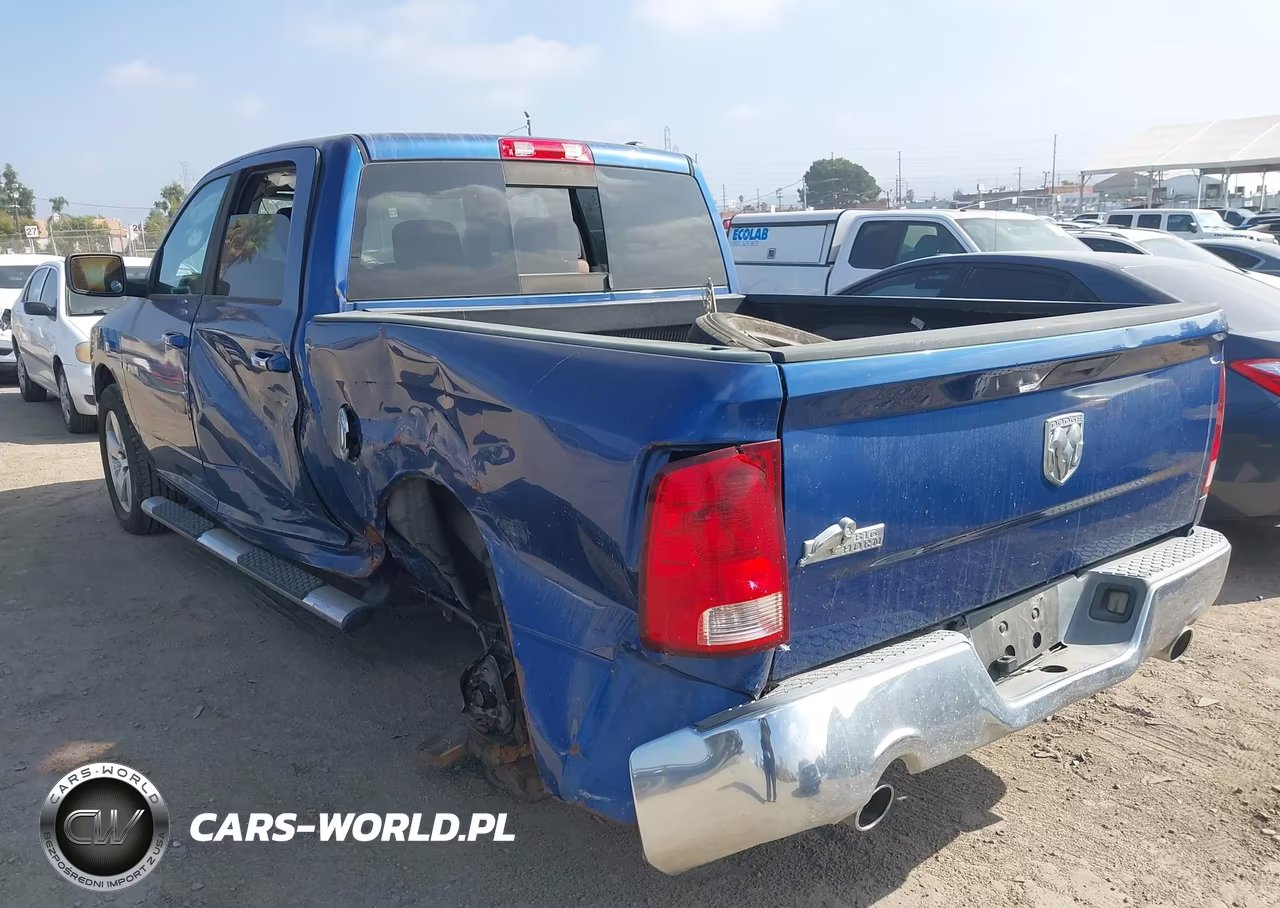 2010 Dodge Ram 1500 Slt-Sport-Trx VIN:1D7RB1CT3AS119198 - 3