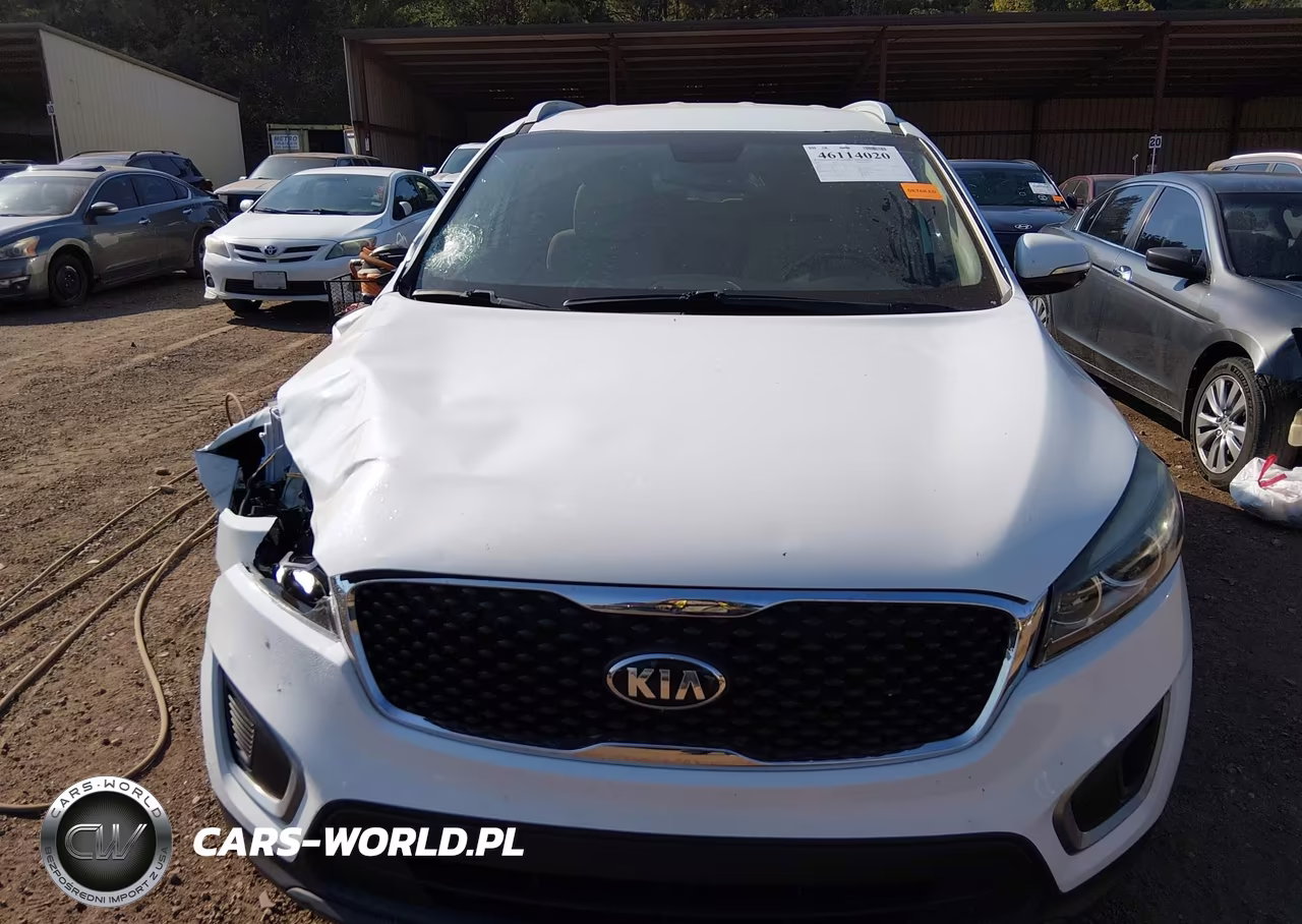 2017 Kia Sorento 2.4L Lx VIN:5XYPG4A34HG271059 - 12