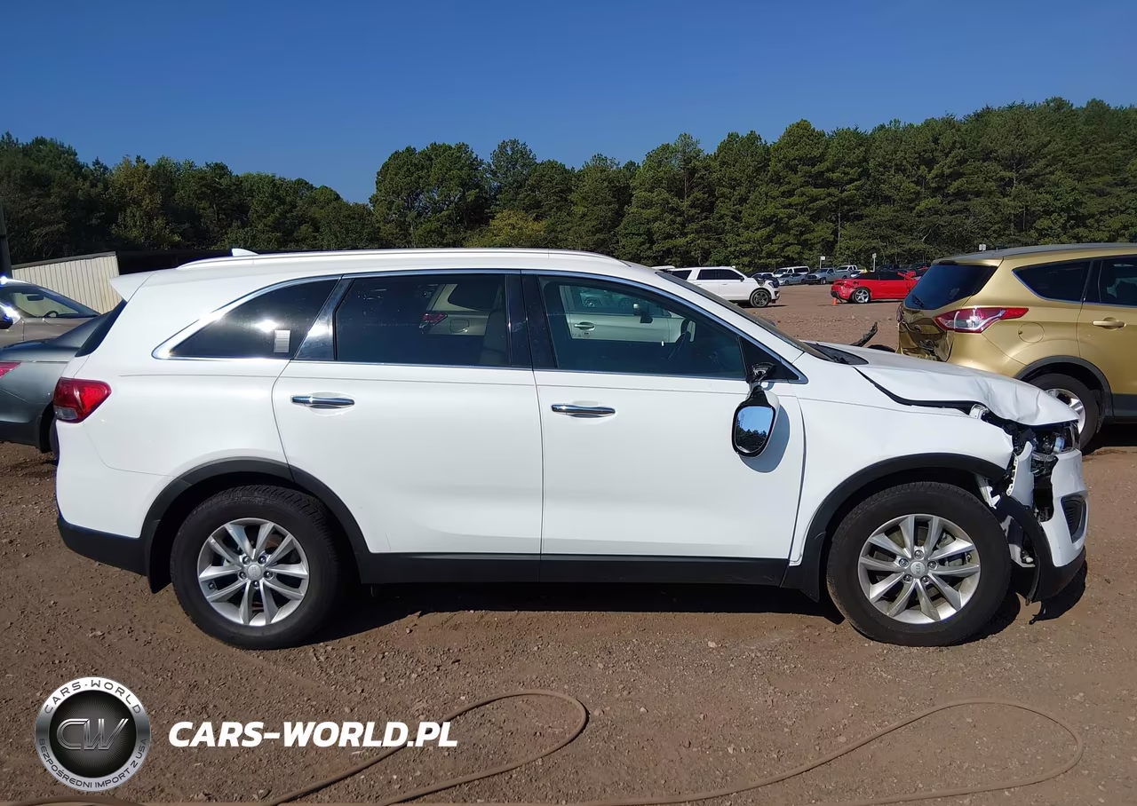 2017 Kia Sorento 2.4L Lx VIN:5XYPG4A34HG271059 - 13