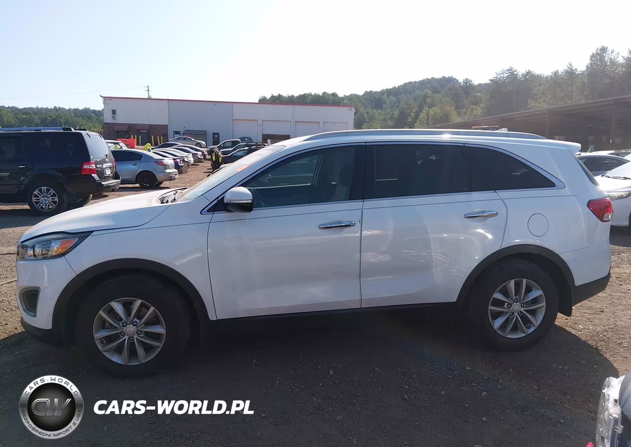 2017 Kia Sorento 2.4L Lx VIN:5XYPG4A34HG271059 - 14