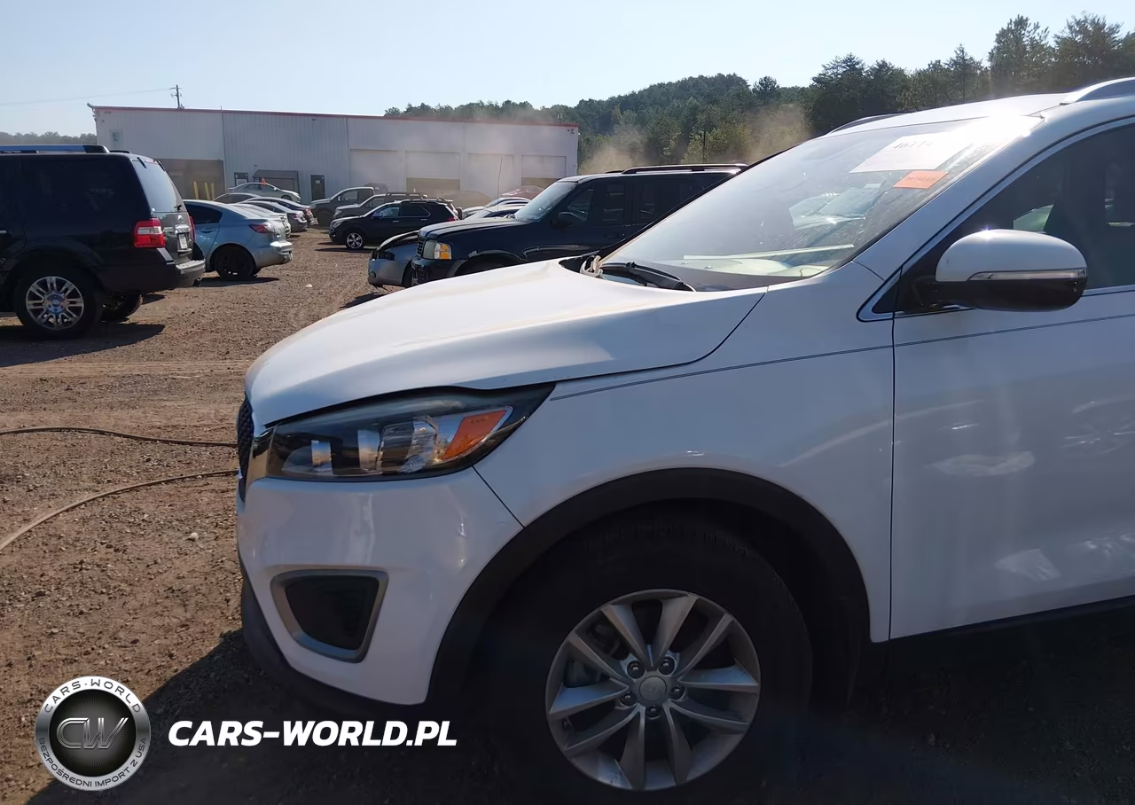 2017 Kia Sorento 2.4L Lx VIN:5XYPG4A34HG271059 - 6