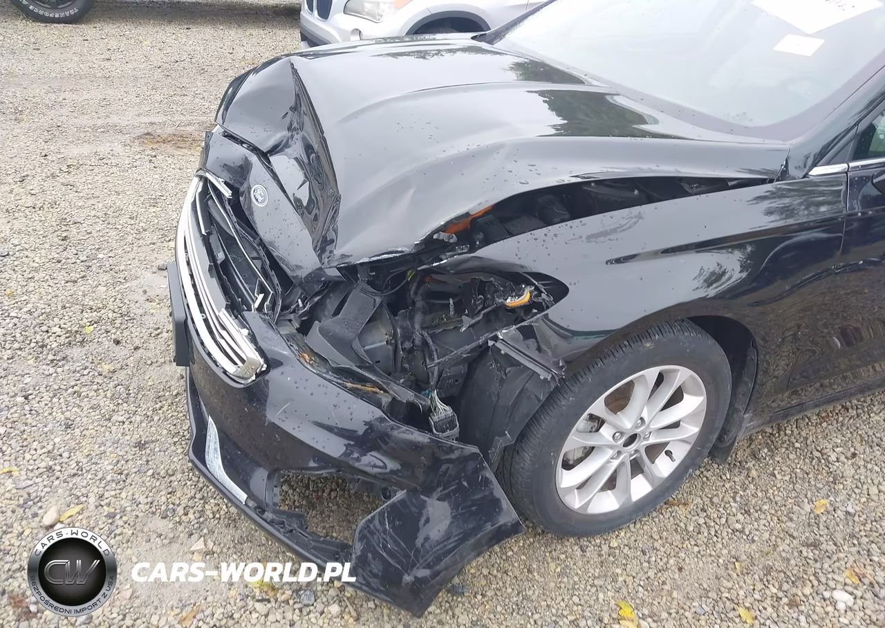 2020 Ford Fusion Hybrid Sel VIN:3FA6P0MU4LR139318 - 19