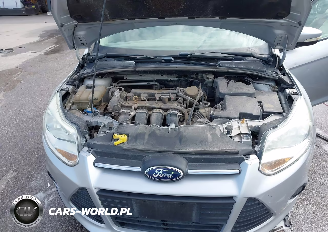 2014 Ford Focus Se VIN:1FADP3F25EL197671 - 10