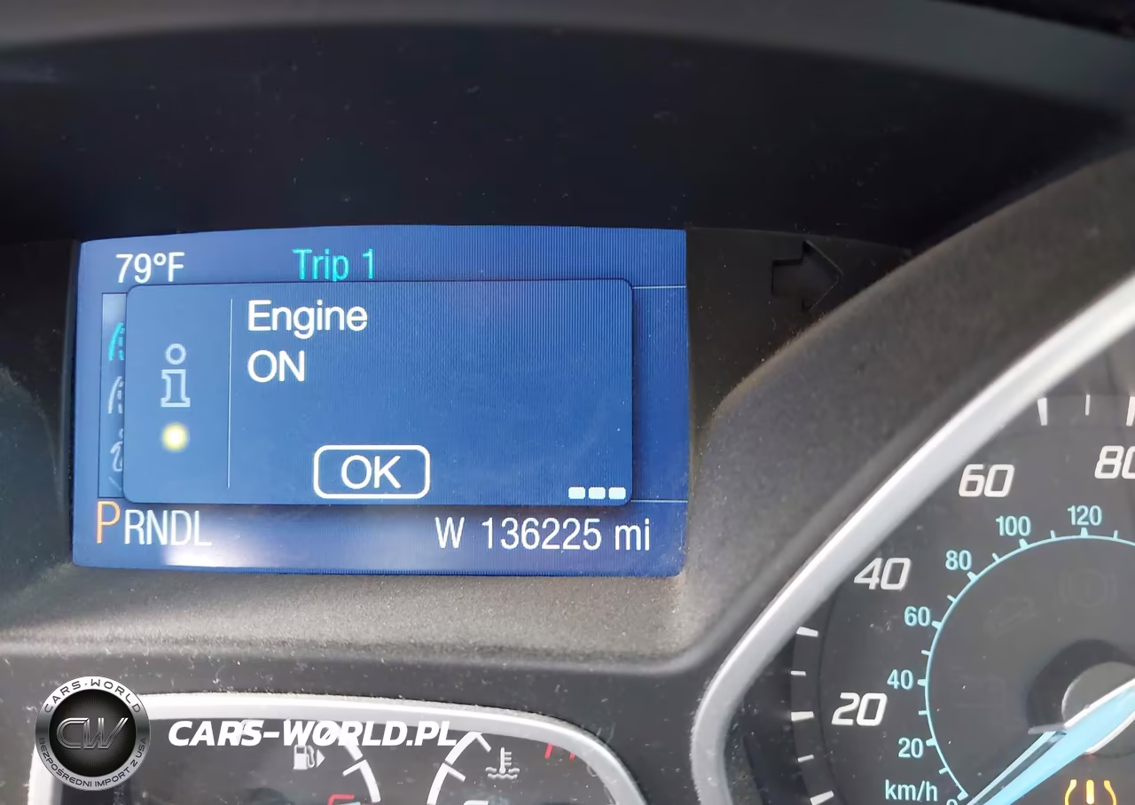 2014 Ford Focus Se VIN:1FADP3F25EL197671 - 7