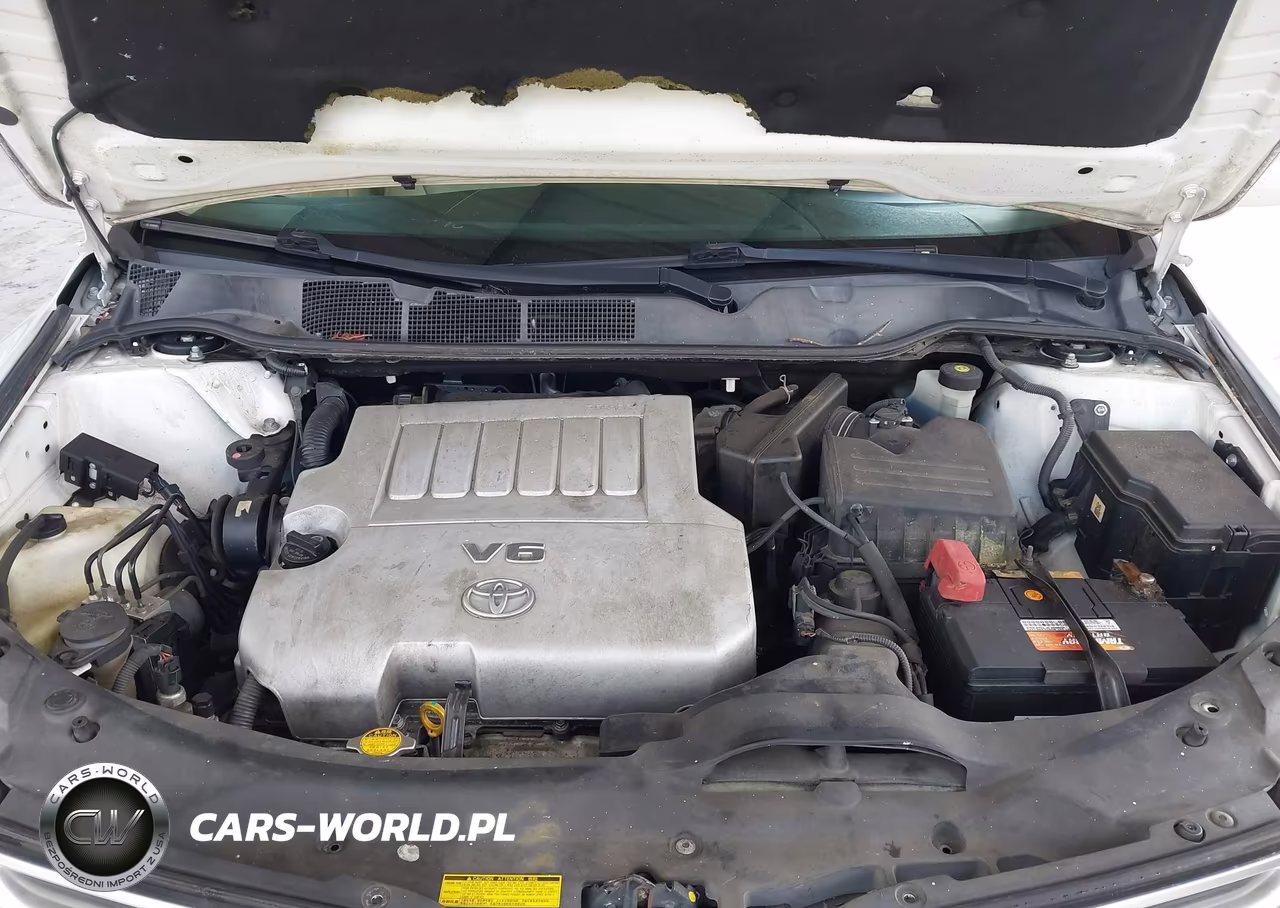 2009 Toyota Venza Base V6 VIN:4T3ZK11A69U003377 - 10