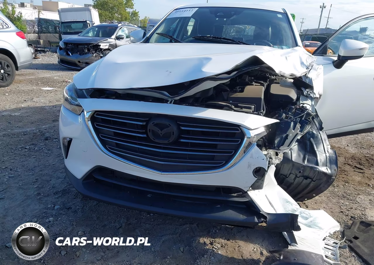 2019 Mazda Cx-3 Touring VIN:JM1DKFC70K0442531 - 17