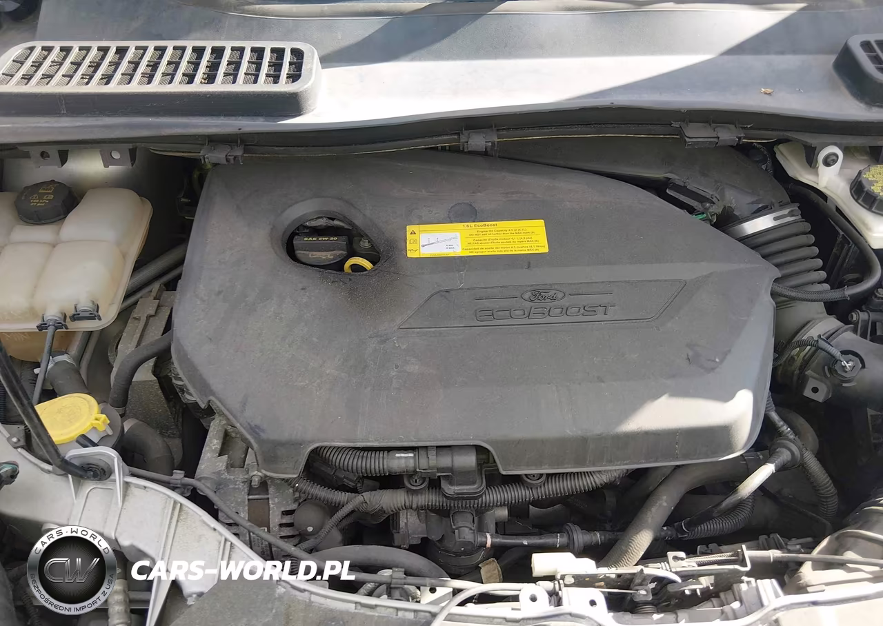 2015 Ford Escape Se VIN:1FMCU9GX6FUC53426 - 10